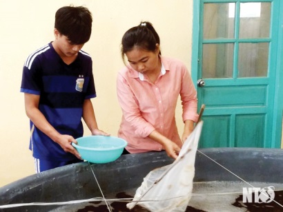 Khẳng định thương hiệu tôm giống Ninh Thuận