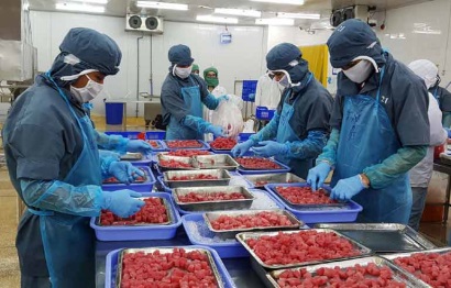 Các doanh nghiệp trong khu công nghiệp: Ra quân khí thế, kỳ vọng làm ăn thuận lợi