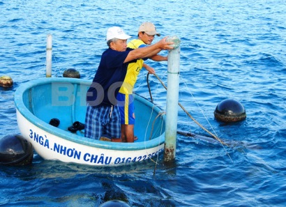 Xã đảo Nhơn Châu (TP.Quy Nhơn, Bình Định): Phát triển nghề nuôi hải sản có hiệu quả