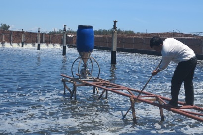 Bình Định: Triển khai 2 dự án nuôi tôm công nghệ cao