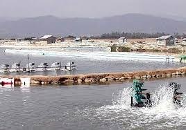 Sản lượng nuôi trồng thủy sản tháng 2/2018 tăng