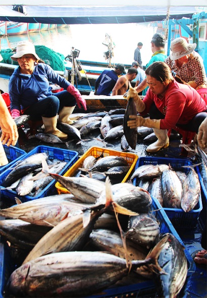 Khánh Hòa: Phát triển các mô hình liên kết chuỗi thủy sản