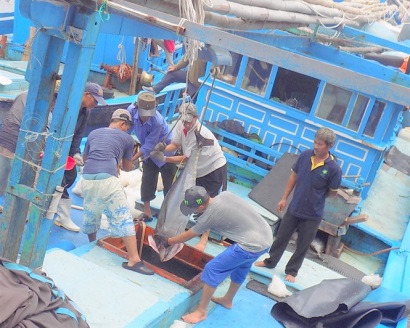 Khánh Hòa kiểm soát tàu thuyền đánh bắt bất hợp pháp