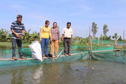 An Giang: Lúa trúng mùa, cá tra trúng giá