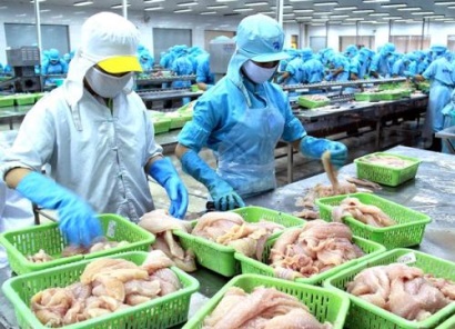 Doanh nghiệp cần làm gì khi xuất khẩu thủy hải sản vào Hoa Kỳ?