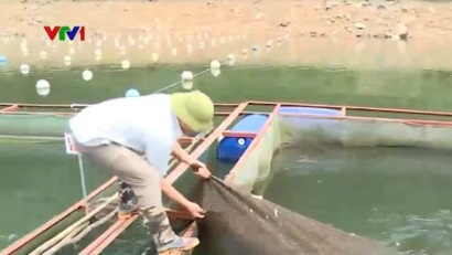 Xây dựng mô hình nuôi thủy sản an toàn
