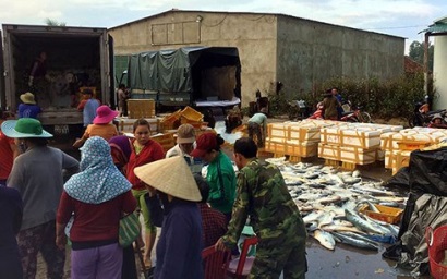 Ngư dân Quảng Ngãi trúng đậm "lộc biển"