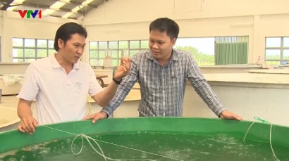 Giá cá tra giống cao nhất trong 10 năm qua