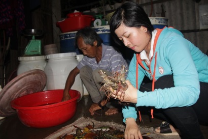 Lợi ích kinh tế từ nuôi tôm sinh thái