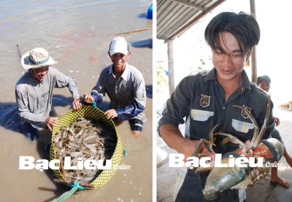 Huyện Đông Hải (Bạc Liêu): Phát triển và nâng chất các mô hình nuôi tôm sinh thái