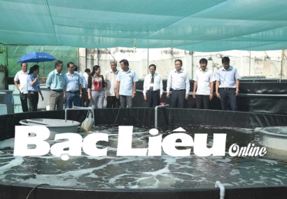 Trình diễn đề tài nuôi tôm thẻ chân trắng siêu thâm canh trong hồ thủy sản HDPE KN94