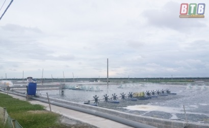 Tiền Hải (Thái Bình): Phát triển nuôi tôm công nghệ cao