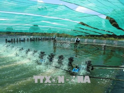 Quyết liệt khắc phục tình trạng thủy sản bị trả về