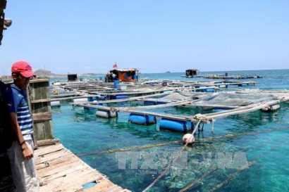 Giải pháp nào để xây dựng ngành thủy sản Việt Nam phát triển bền vững?