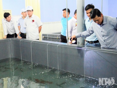 Ninh Thuận: Nuôi trồng thủy sản tiếp tục khởi sắc