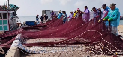 Quảng Ngãi: Nỗi lo “chảy máu” nguồn nguyên liệu thủy sản