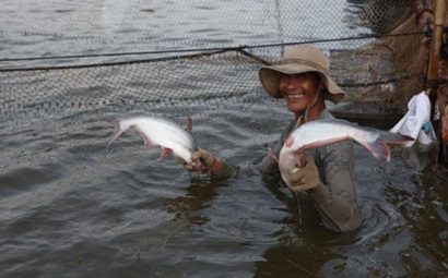 Navico: Lãi ròng quý 1/2018 tăng 3 lần lên 76 tỷ đồng