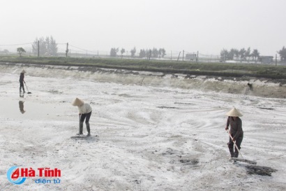 Nuôi tôm công nghệ cao: "Mỗi héc-ta cho ra... 1 tỷ"!