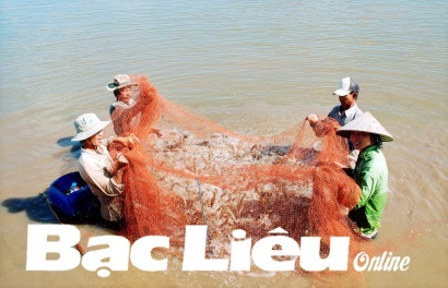 Tăng trưởng kinh tế 2018: Đột phá từ con tôm