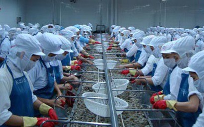 Thủy sản Minh Phú: Lãi quý 1/2018 đạt hơn 101 tỷ đồng, tăng 138% so với cùng kỳ