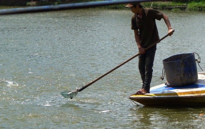 Gần 600 tỷ đồng nâng cao chất lượng cá tra giống ở ĐBSCL