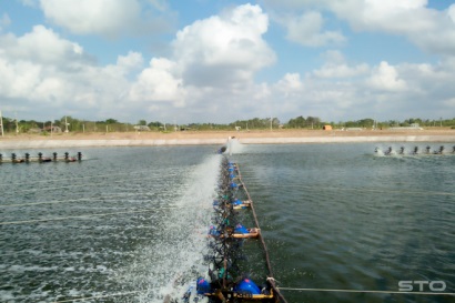 Khơi nguồn vốn để người nuôi tôm tiếp cận công nghệ cao