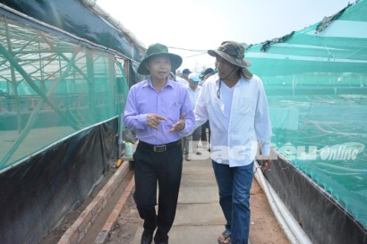 Bạc Liêu: Đoàn cán bộ Trung tâm Khuyến nông Quốc gia tham quan mô hình nuôi tôm siêu thâm canh