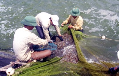 Ninh Thuận: Tập huấn phổ biến lịch thời vụ nuôi trồng thủy sản năm 2018 và kỹ thuật nuôi tôm sú, tôm thẻ chân trắng