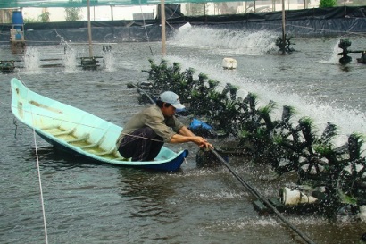 Áp dụng công nghệ cao vào nuôi tôm siêu thâm canh