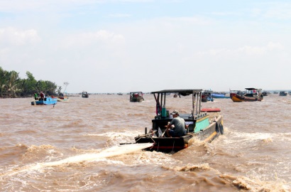 Bến Tre: Khai thác sò huyết giống trên bãi biển Thừa Đức