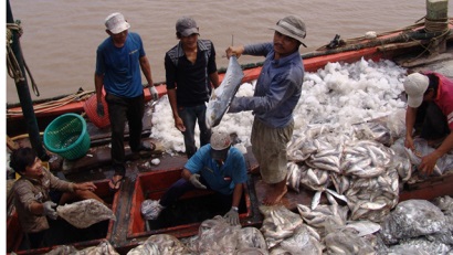 Bạc Liêu: 6 tháng, khai thác hơn 60.000 tấn thủy sản
