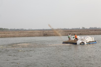 Đồng Tháp: Rà soát tình hình thực hiện quy hoạch nuôi cá tra