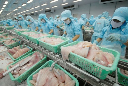 Cá tra vẫn sáng sủa