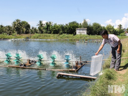 Ninh Thuận: Đột phá trong ứng dụng công nghệ cao vào nuôi tôm