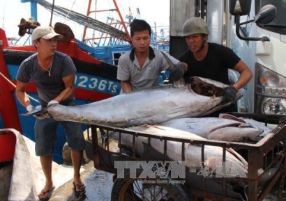 Cơ hội và thách thức của ngành khai thác hải sản - Bài 2: Tận dụng cơ hội mới