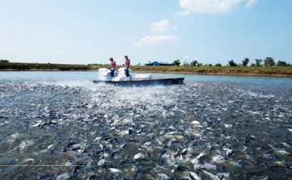 Top 50 2018: Công ty Cổ phần Vĩnh Hoàn