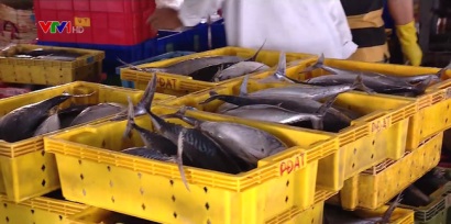 Giải pháp nào để đáp ứng yêu cầu khắc phục thẻ vàng của EC?