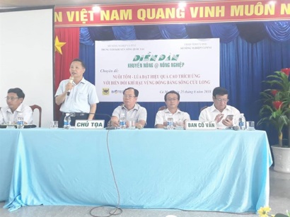 Nuôi tôm - lúa thích ứng biến đổi khí hậu