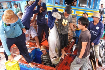 EC gia hạn thêm 6 tháng: Thủy sản Việt có gỡ được “thẻ vàng” năm 2019?