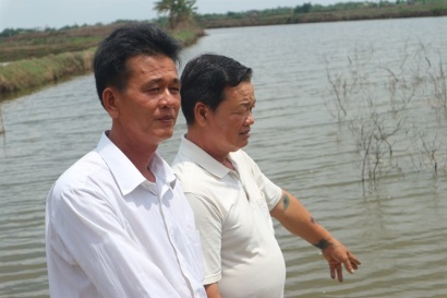 Đáng nể tấm gương nuôi tôm công nghiệp lãi trên 2 tỷ đồng/năm
