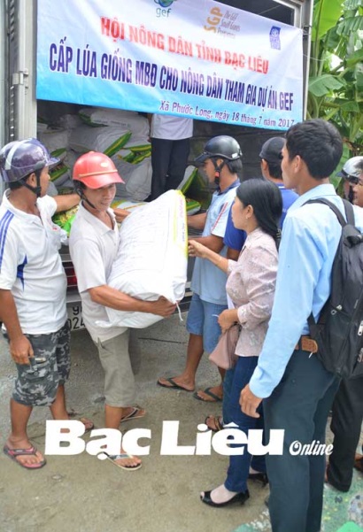 Tôm - lúa: Mô hình sản xuất hiệu quả, bền vững