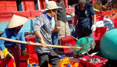 Quảng Nam chung tay gỡ “thẻ vàng” xuất khẩu thủy sản