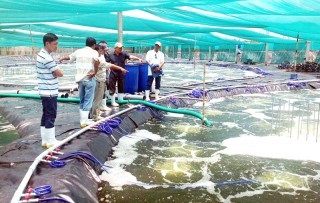 Bến Tre: Trao đổi kinh nghiệm nuôi tôm công nghệ cao