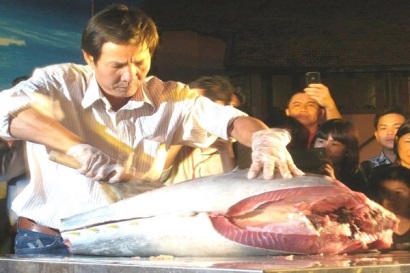 Tàu cá xa bờ sẽ được gắn thiết bị theo dõi trước tháng 10/2018