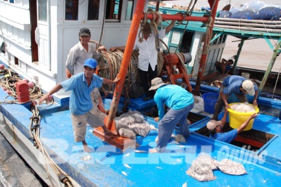 Bạc Liêu: Thành lập gần 50 tổ khai thác hải sản