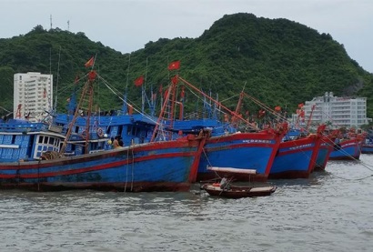 Gỡ thẻ vàng cho thủy sản, còn 