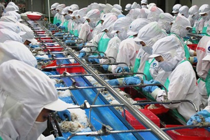 Nâng cao năng lực chế biến thủy sản gắn với phát triển thị trường