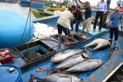 Ghi nhật ký khai thác thủy sản: Dễ mà khó