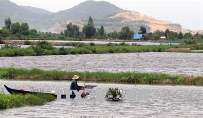 Kiên Giang hỗ trợ người nuôi tôm tháo gỡ khó khăn