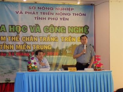 Nhiều công nghệ nuôi tôm thẻ chân trắng